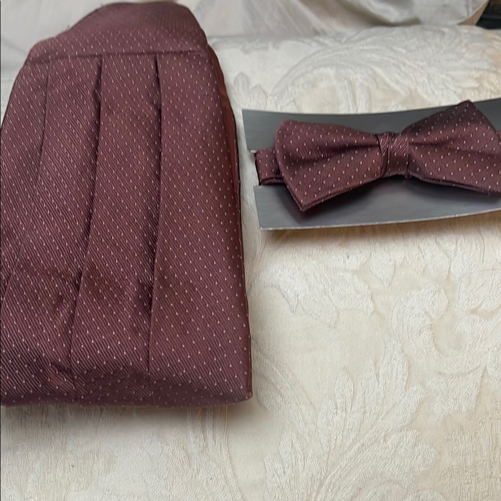 New Elegant Bow Tie and Cummerbund Set